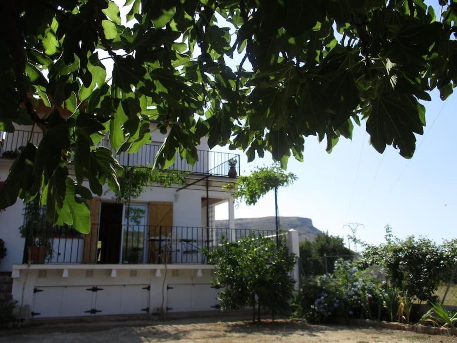 Casa La Higuera Villa Chulilla Buitenkant foto