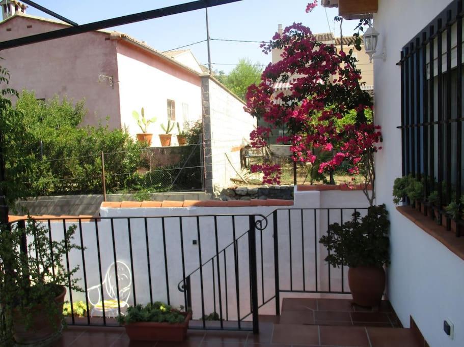 Casa La Higuera Villa Chulilla Buitenkant foto