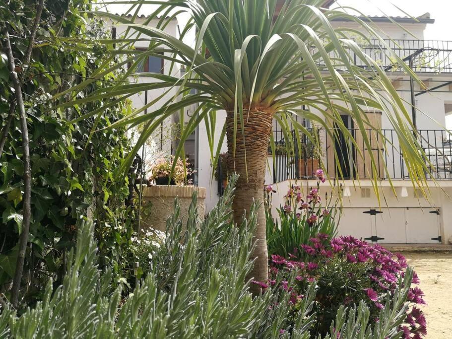 Casa La Higuera Villa Chulilla Buitenkant foto
