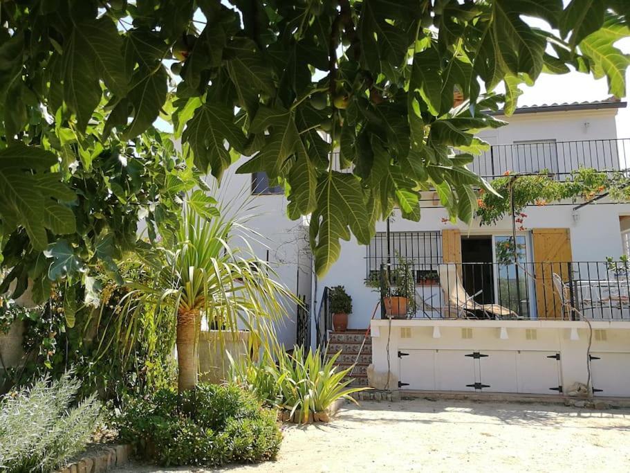 Casa La Higuera Villa Chulilla Buitenkant foto